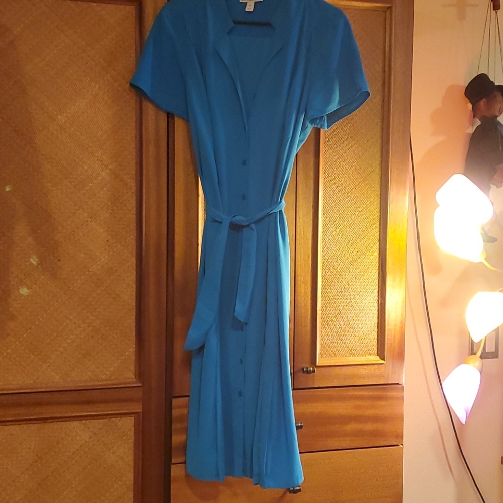 Dana Buchman Retro Style Dress